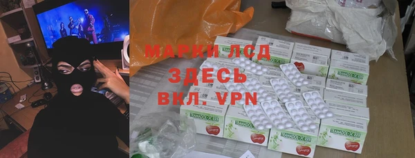 индика Лагань