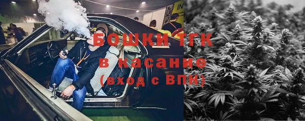 индика Лагань
