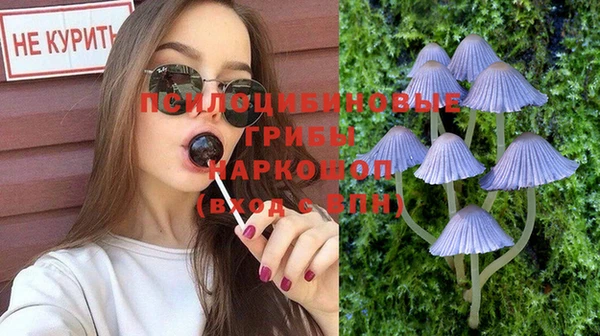 гидропоника Иннополис