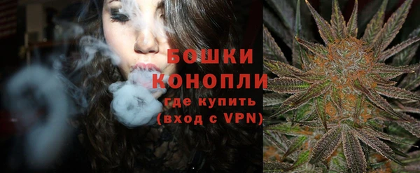 индика Лагань