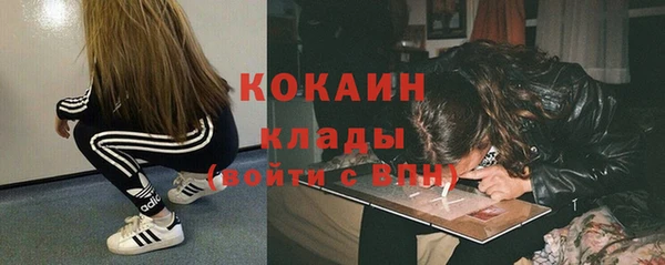 индика Лагань