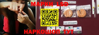 альфа пвп Гатчина