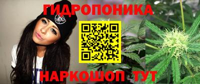 a pvp Гай
