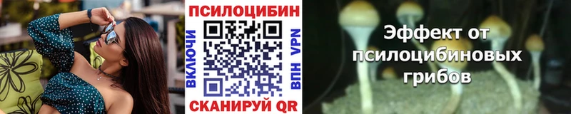 Псилоцибиновые грибы Psilocybe  Белогорск 