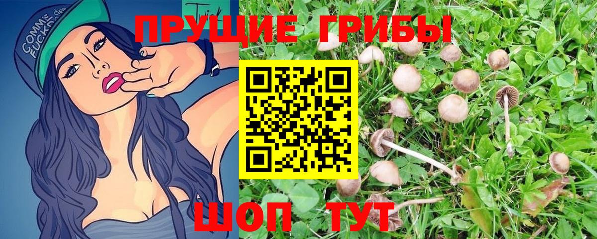 Белогорск  Галлюциногенные грибы MAGIC MUSHROOMS  Вход с VPN 