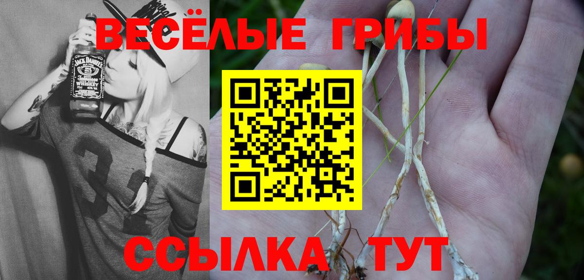 Псилоцибиновые грибы Magic Shrooms Белогорск