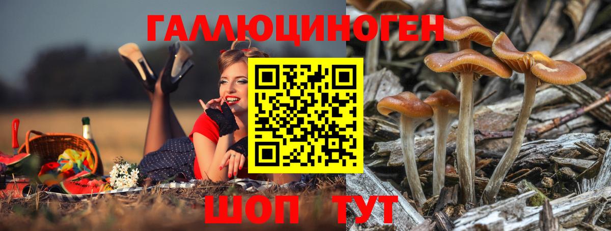 Белогорск  Псилоцибиновые грибы мицелий  Вход с VPN 