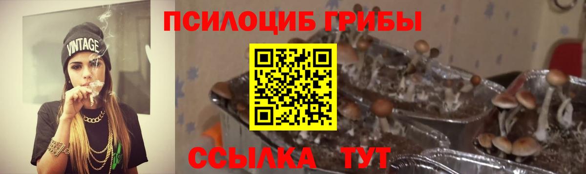 Галлюциногенные грибы Psilocybine cubensis  Белогорск 